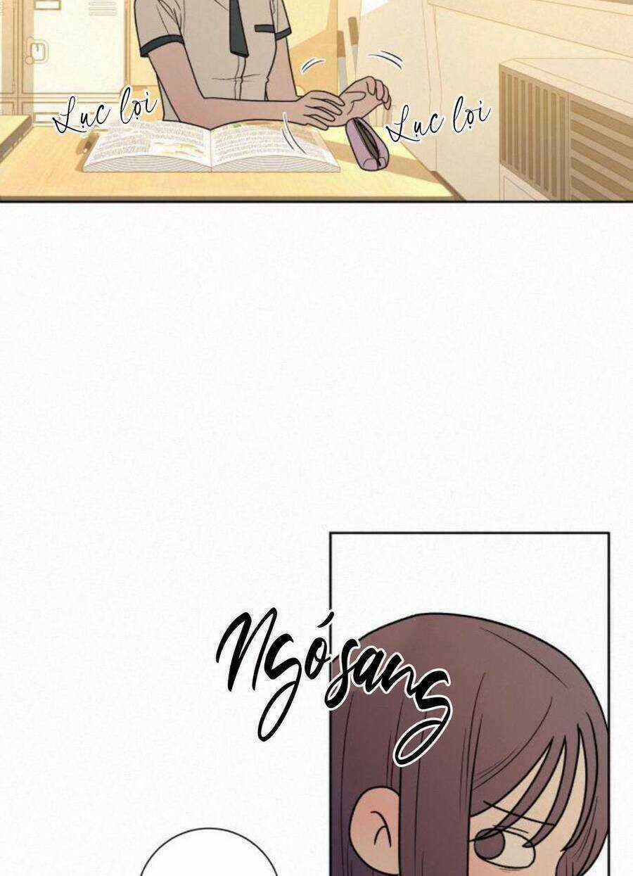 Kế Hoạch Tình Yêu Trong Sáng Chapter 51 trang 99