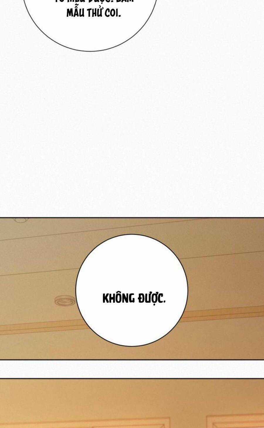 Kế Hoạch Tình Yêu Trong Sáng Chapter 52 trang 107