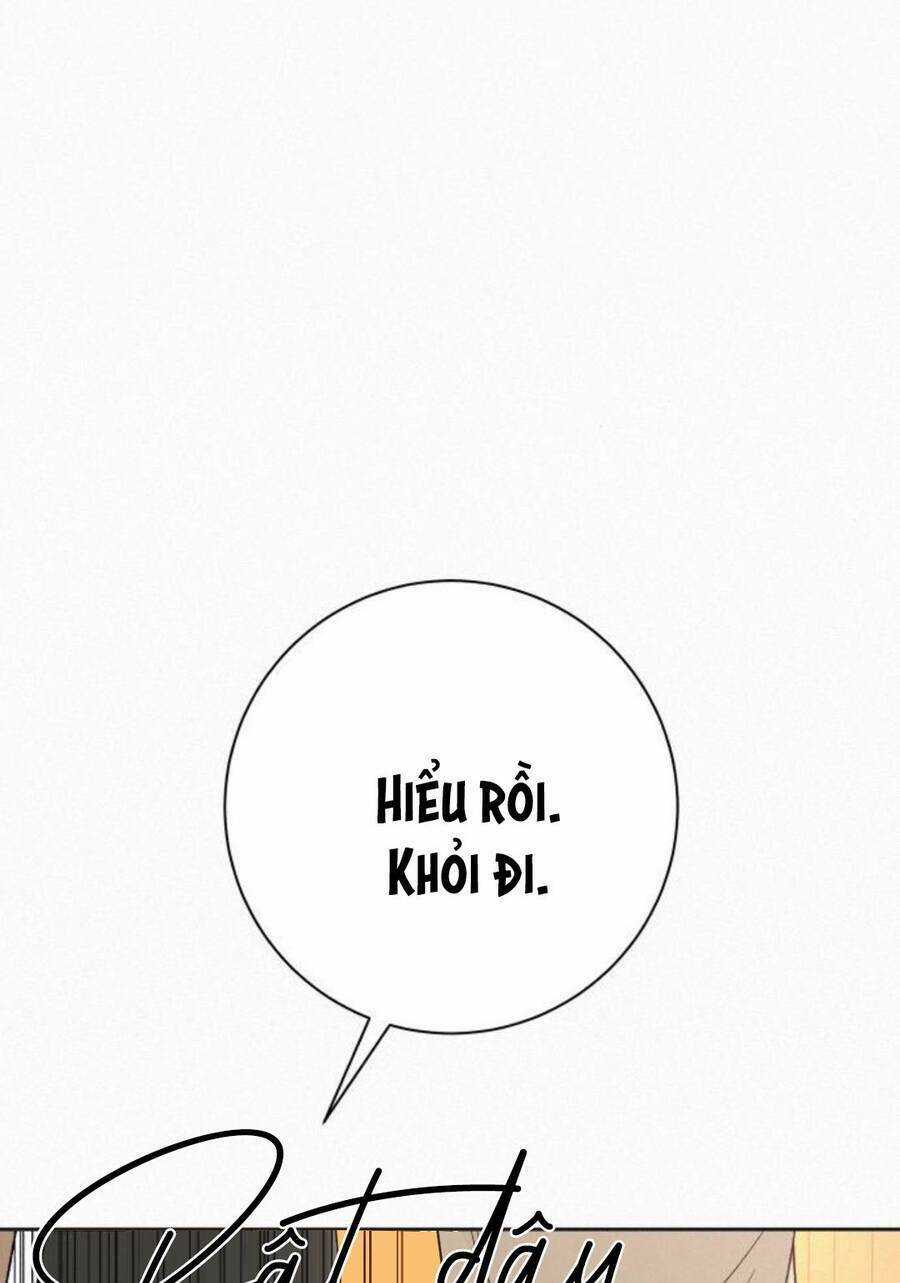 Kế Hoạch Tình Yêu Trong Sáng Chapter 52 trang 113