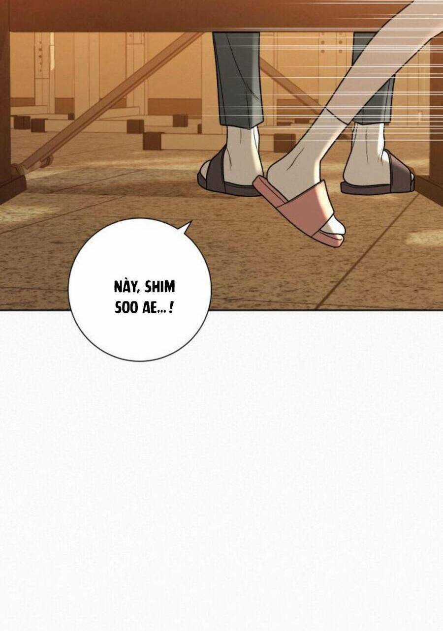 Kế Hoạch Tình Yêu Trong Sáng Chapter 52 trang 117