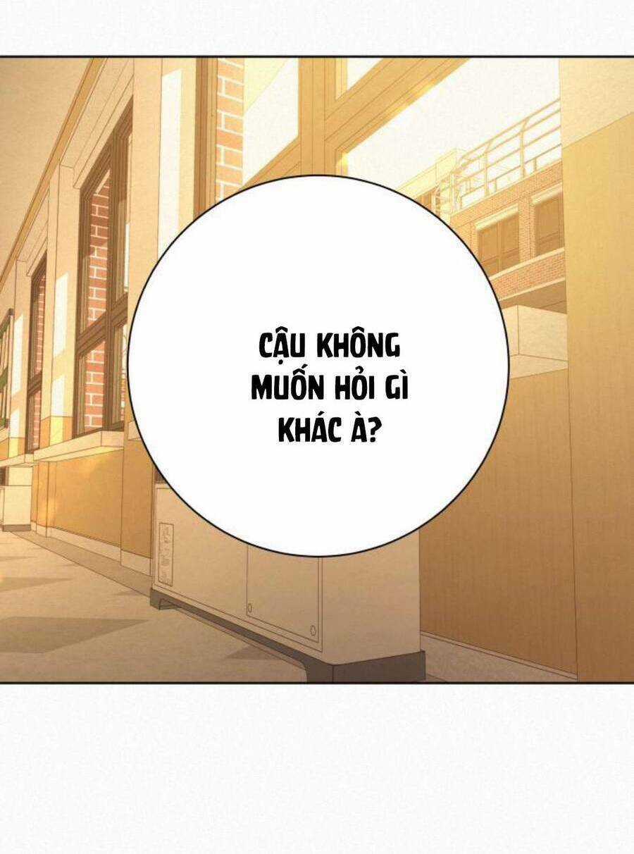 Kế Hoạch Tình Yêu Trong Sáng Chapter 52 trang 127