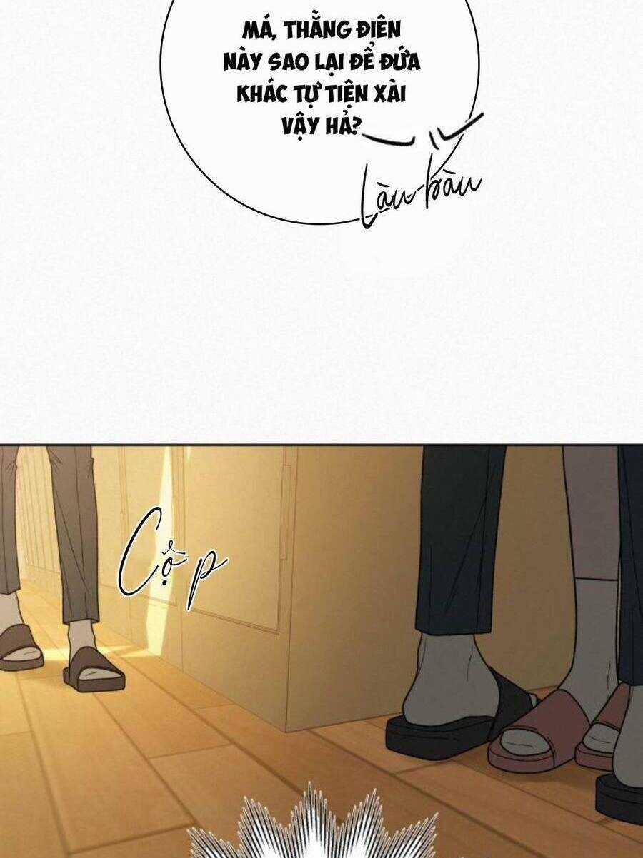 Kế Hoạch Tình Yêu Trong Sáng Chapter 52 trang 164