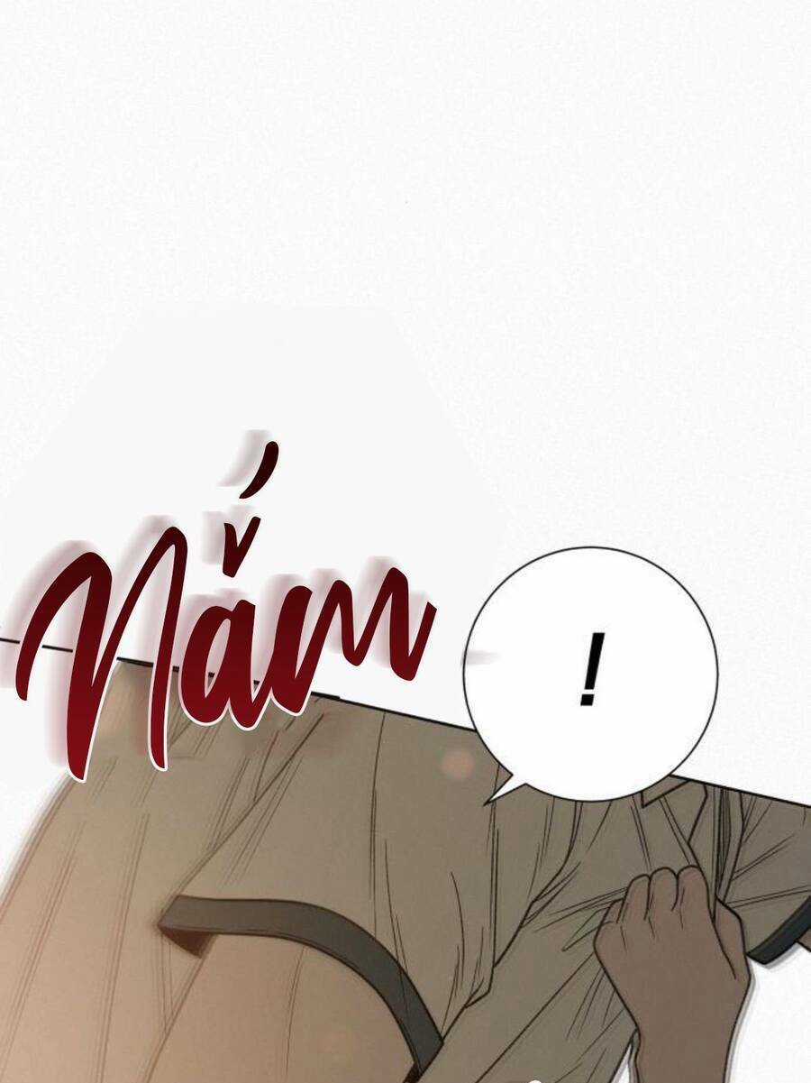 Kế Hoạch Tình Yêu Trong Sáng Chapter 52 trang 167