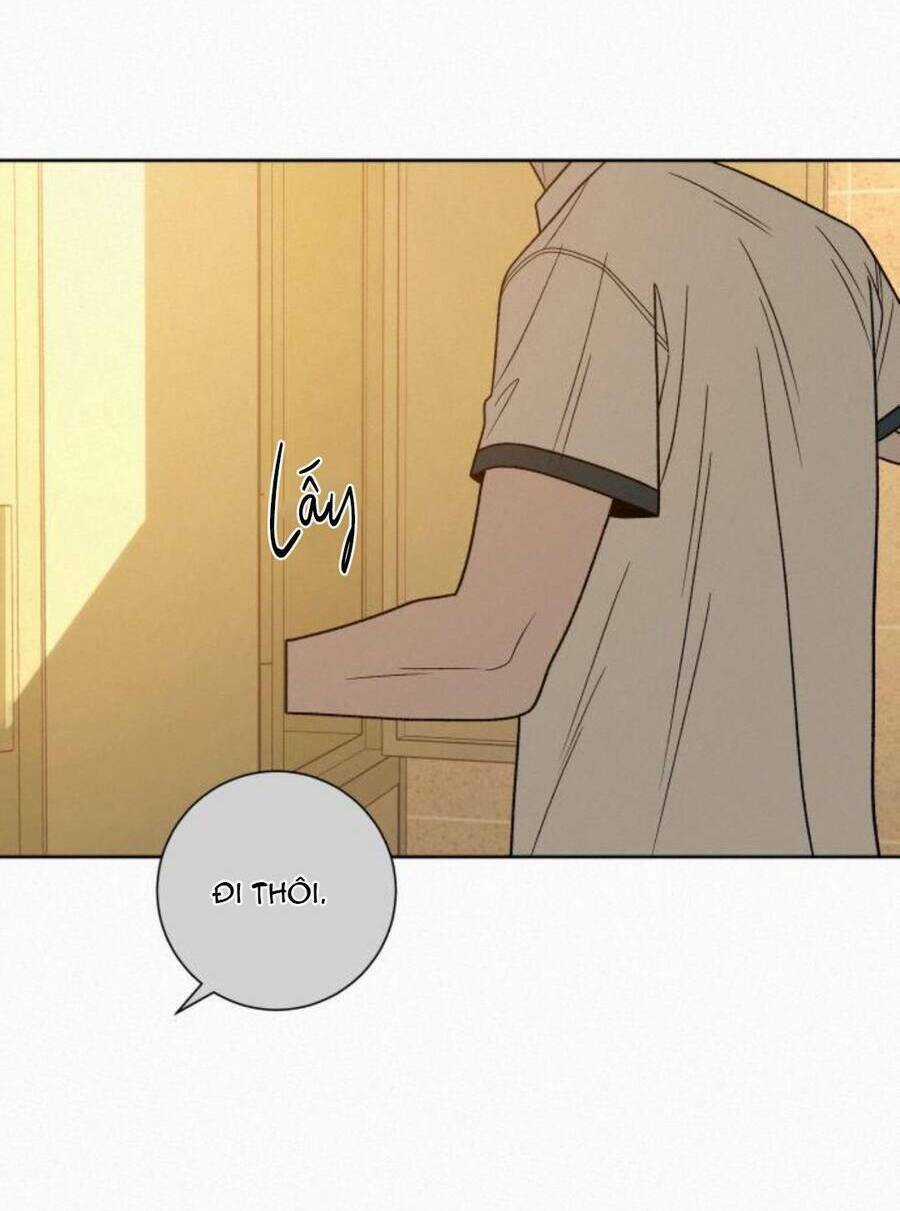 Kế Hoạch Tình Yêu Trong Sáng Chapter 52 trang 171