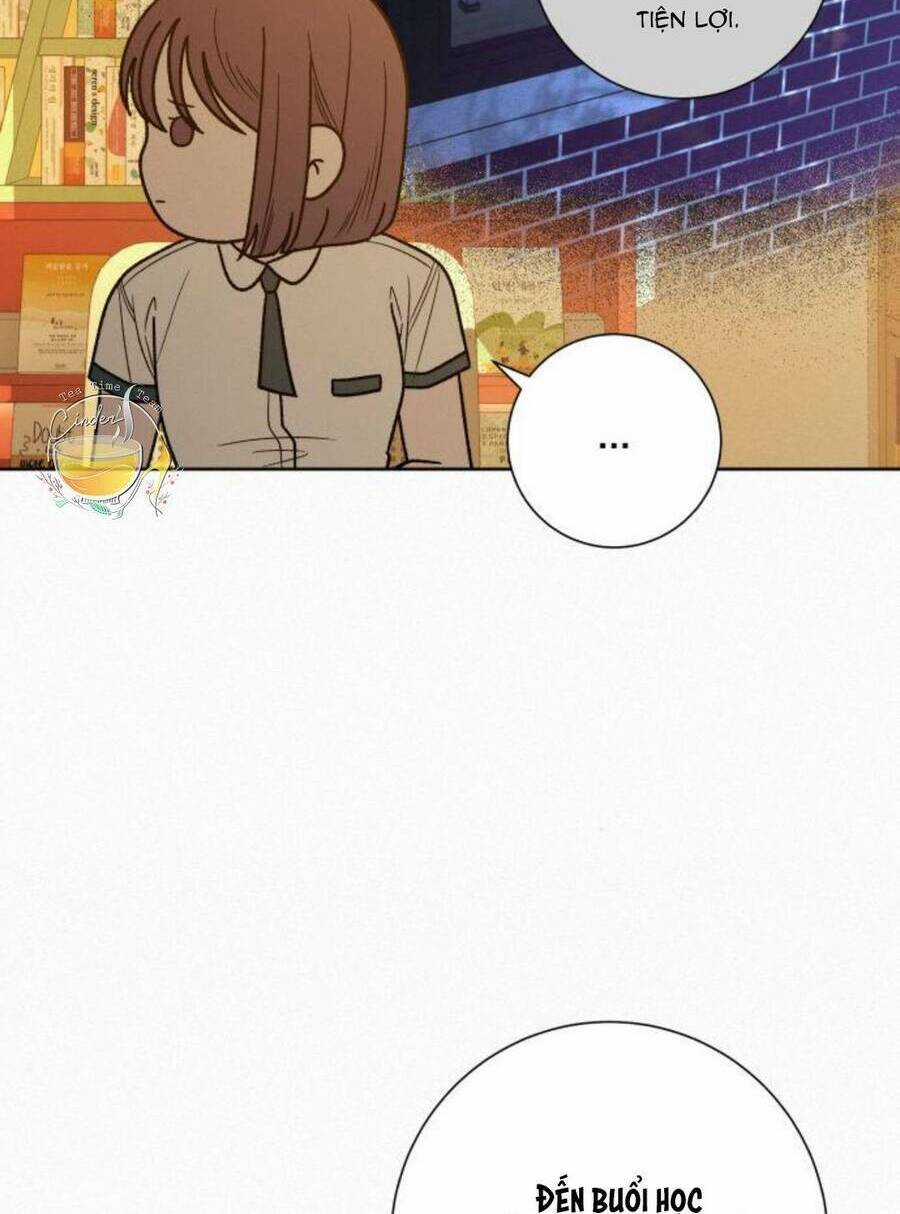 Kế Hoạch Tình Yêu Trong Sáng Chapter 53 trang 112