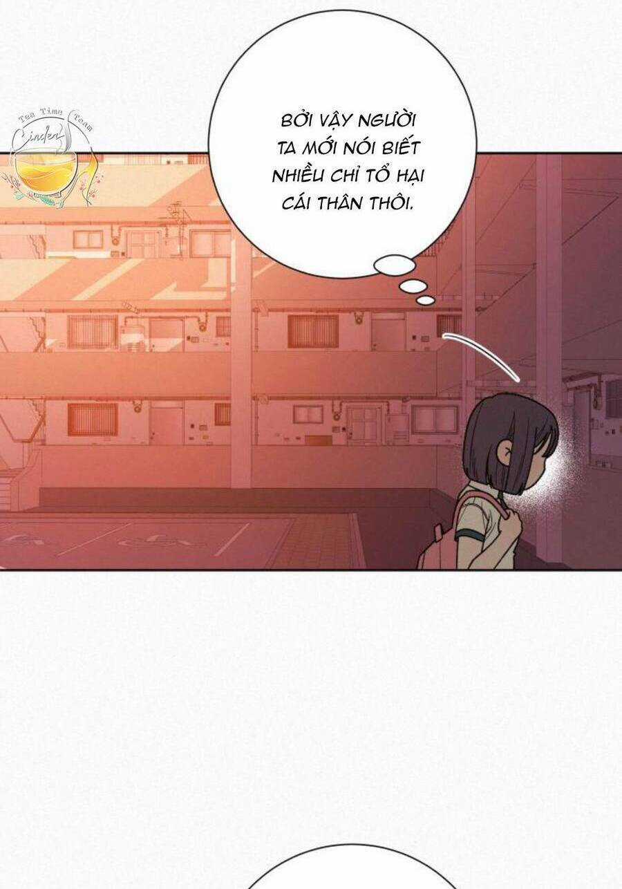 Kế Hoạch Tình Yêu Trong Sáng Chapter 53 trang 128