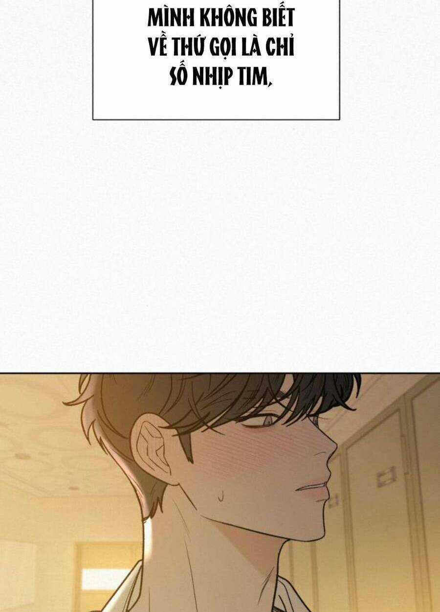 Kế Hoạch Tình Yêu Trong Sáng Chapter 53 trang 50