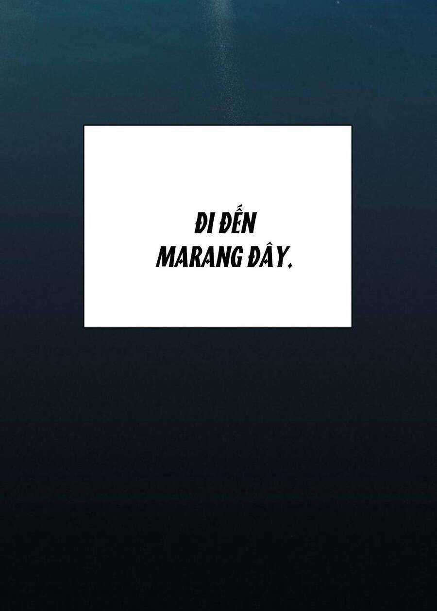 Kế Hoạch Tình Yêu Trong Sáng Chapter 53 trang 99