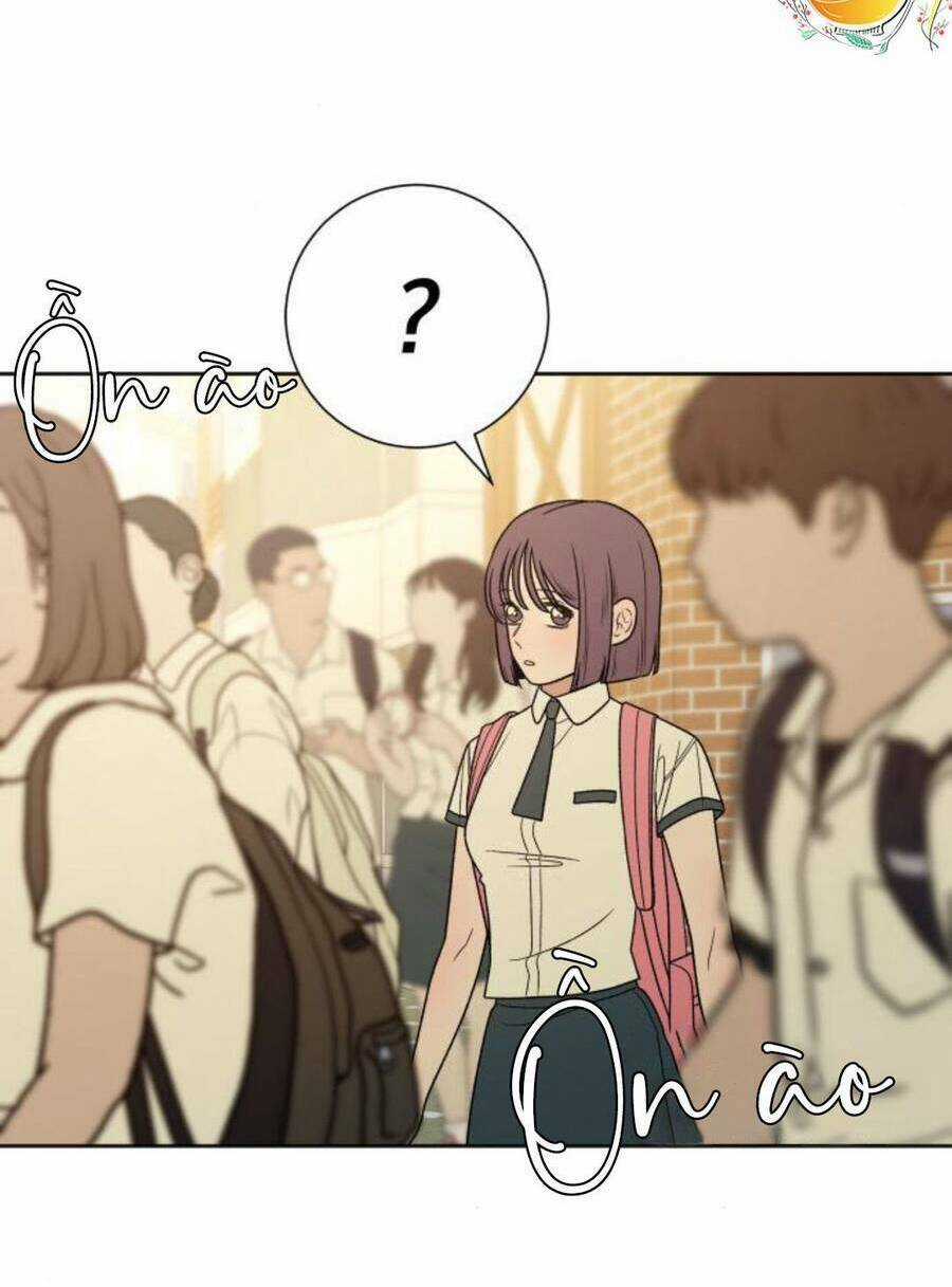 Kế Hoạch Tình Yêu Trong Sáng Chapter 57 trang 78