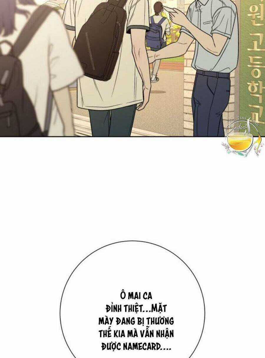 Kế Hoạch Tình Yêu Trong Sáng Chapter 57 trang 82