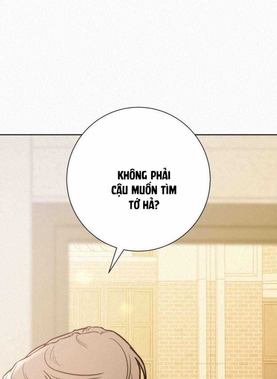 Kế Hoạch Tình Yêu Trong Sáng Chapter 57 trang 95