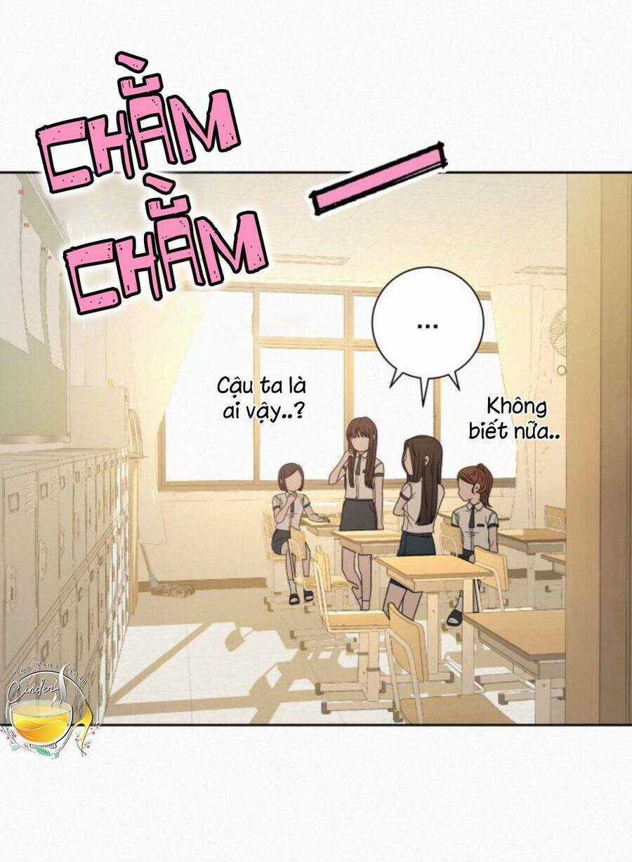 Kế Hoạch Tình Yêu Trong Sáng Chapter 57 trang 99