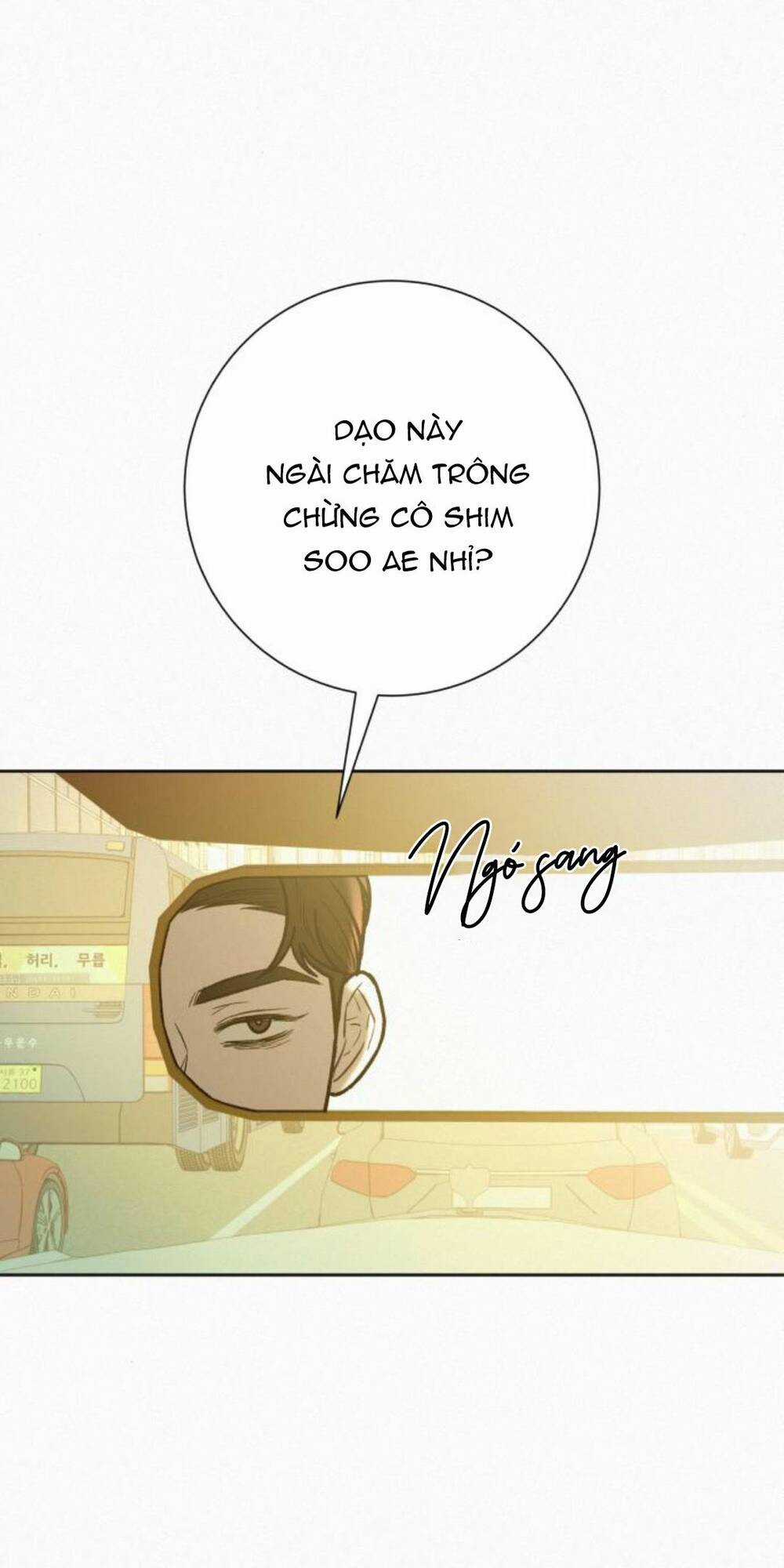 Kế Hoạch Tình Yêu Trong Sáng Chapter 65 trang 101