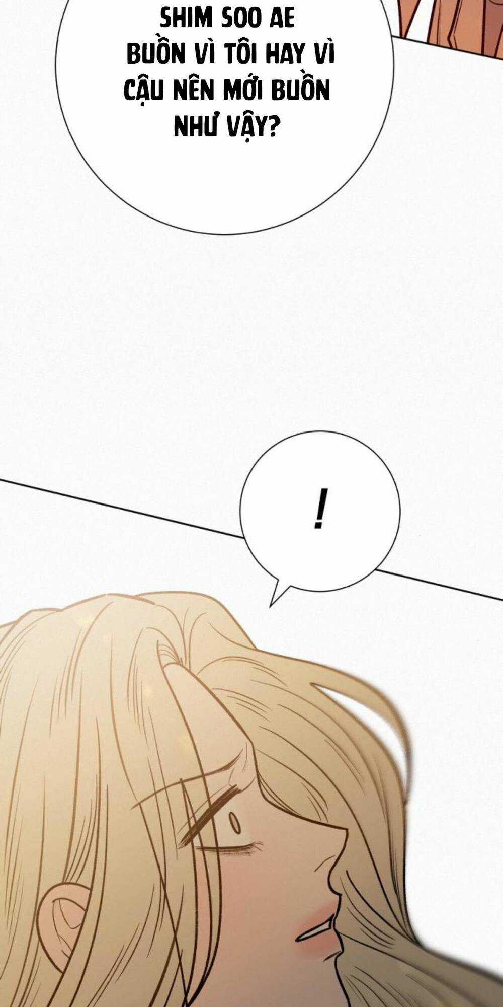 Kế Hoạch Tình Yêu Trong Sáng Chapter 65 trang 22