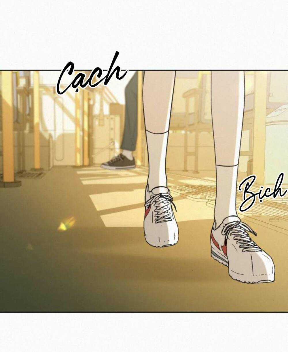 Kế Hoạch Tình Yêu Trong Sáng Chapter 65 trang 40