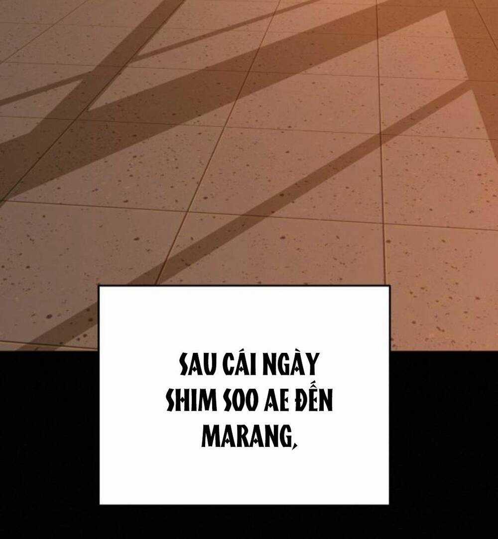 Kế Hoạch Tình Yêu Trong Sáng Chapter 65 trang 86