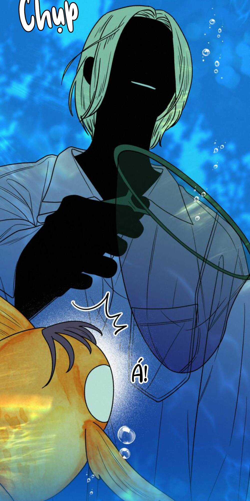 Kế Hoạch Tình Yêu Trong Sáng Chapter 78 trang 39