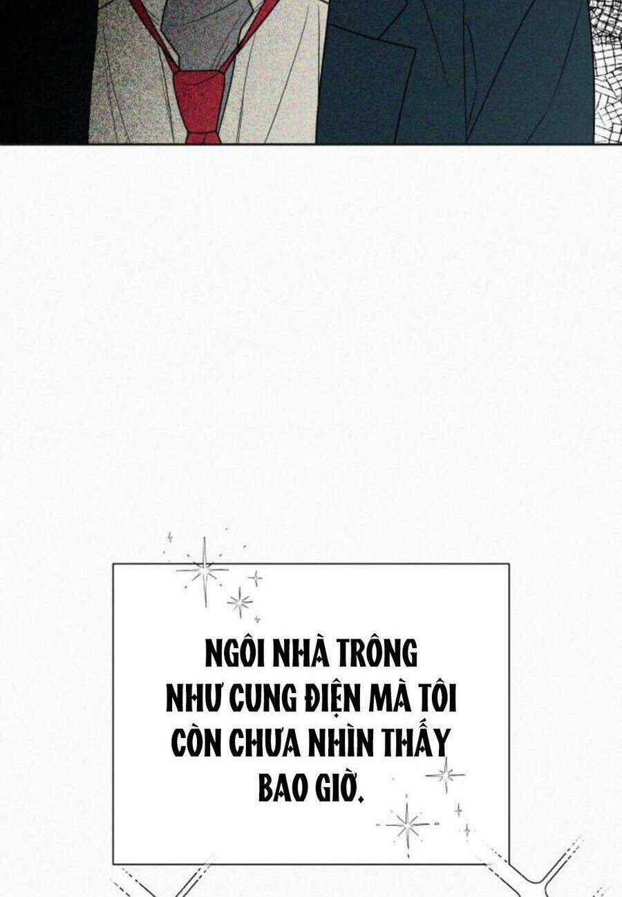 Kế Hoạch Tình Yêu Trong Sáng Chapter 79 trang 101