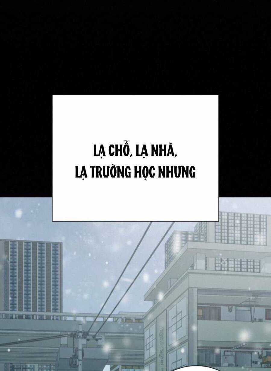 Kế Hoạch Tình Yêu Trong Sáng Chapter 79 trang 124