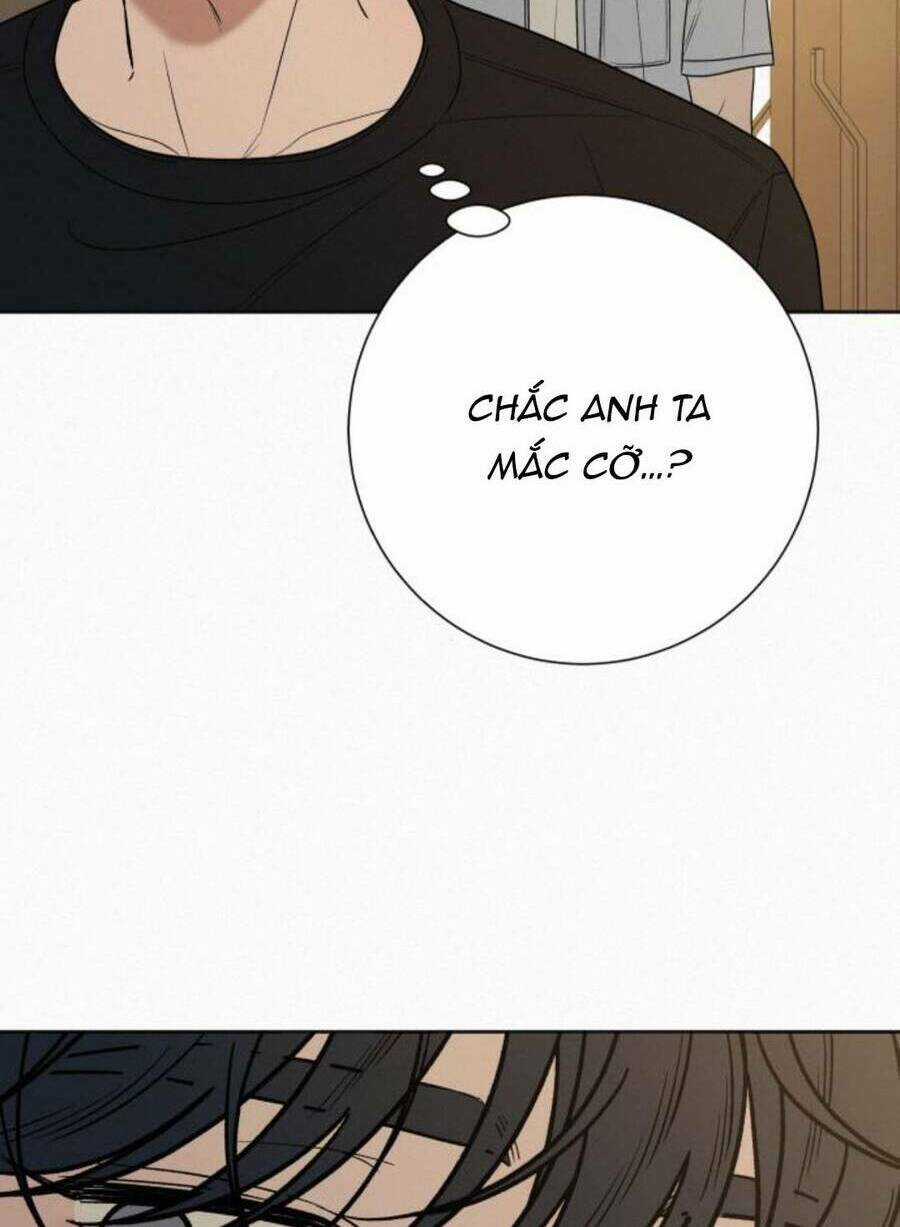 Kế Hoạch Tình Yêu Trong Sáng Chapter 79 trang 31