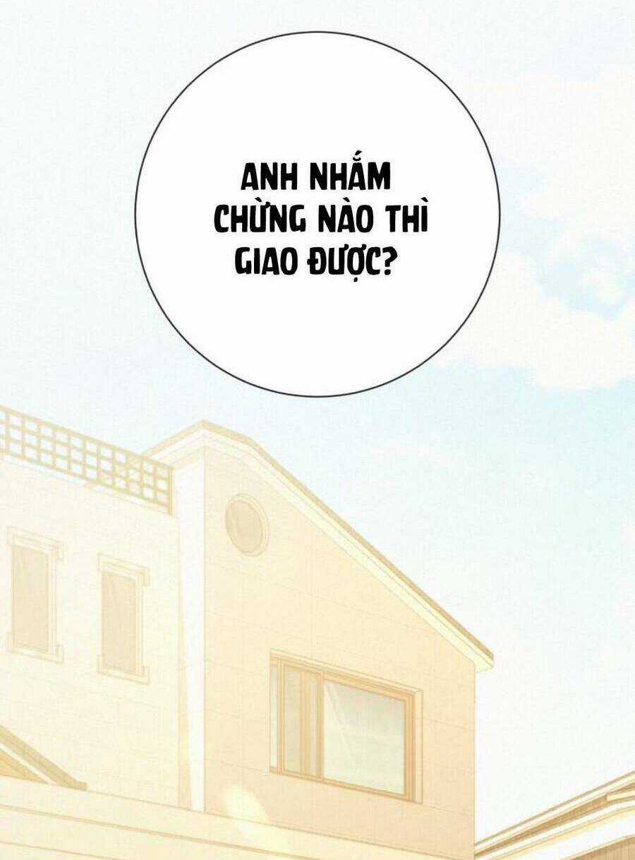 Kế Hoạch Tình Yêu Trong Sáng Chapter 79 trang 53