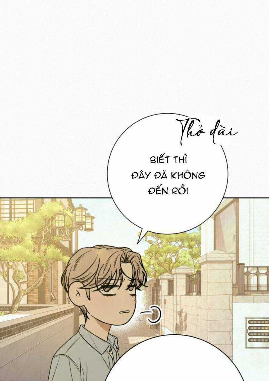 Kế Hoạch Tình Yêu Trong Sáng Chapter 79 trang 71