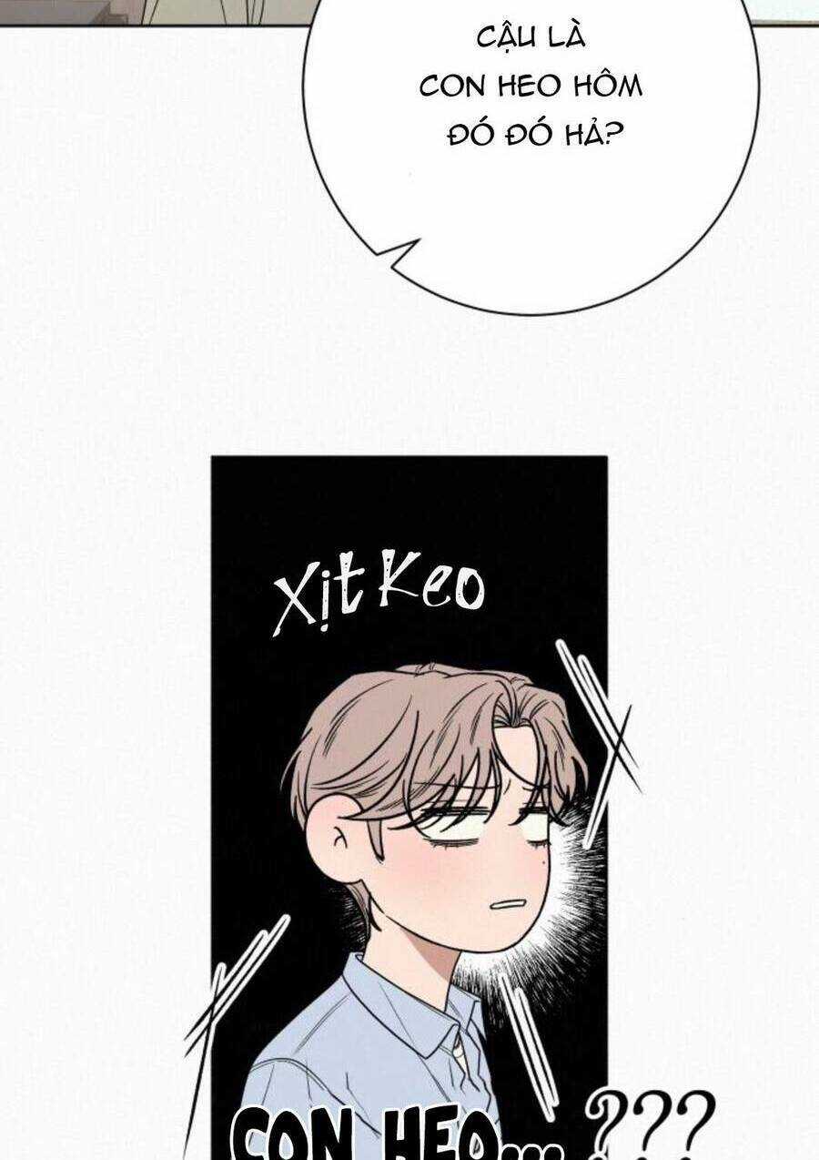 Kế Hoạch Tình Yêu Trong Sáng Chapter 79 trang 72