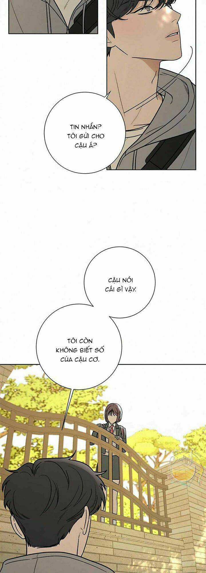 Kế Hoạch Tình Yêu Trong Sáng Chapter 8 trang 12