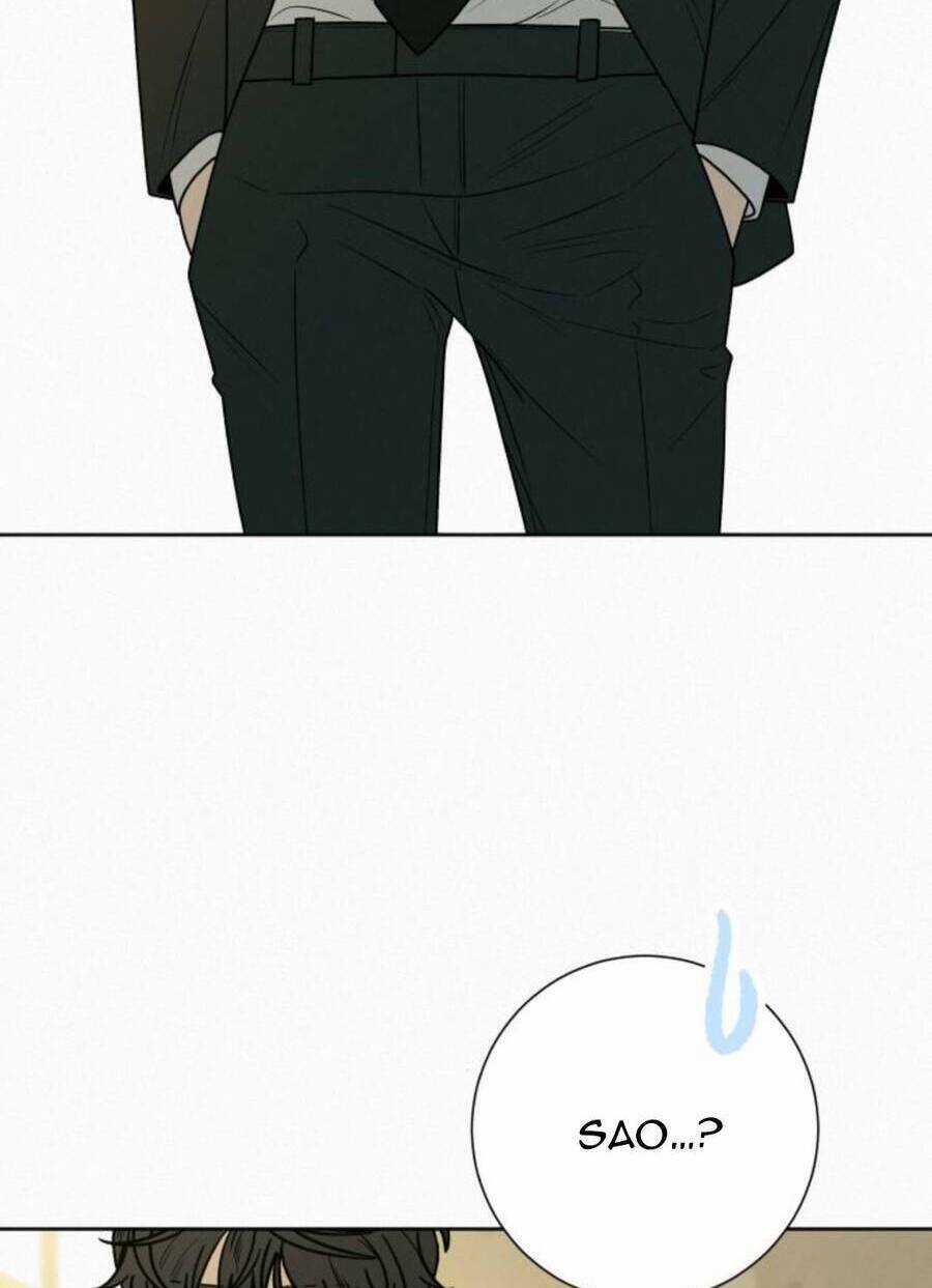 Kế Hoạch Tình Yêu Trong Sáng Chapter 81 trang 31