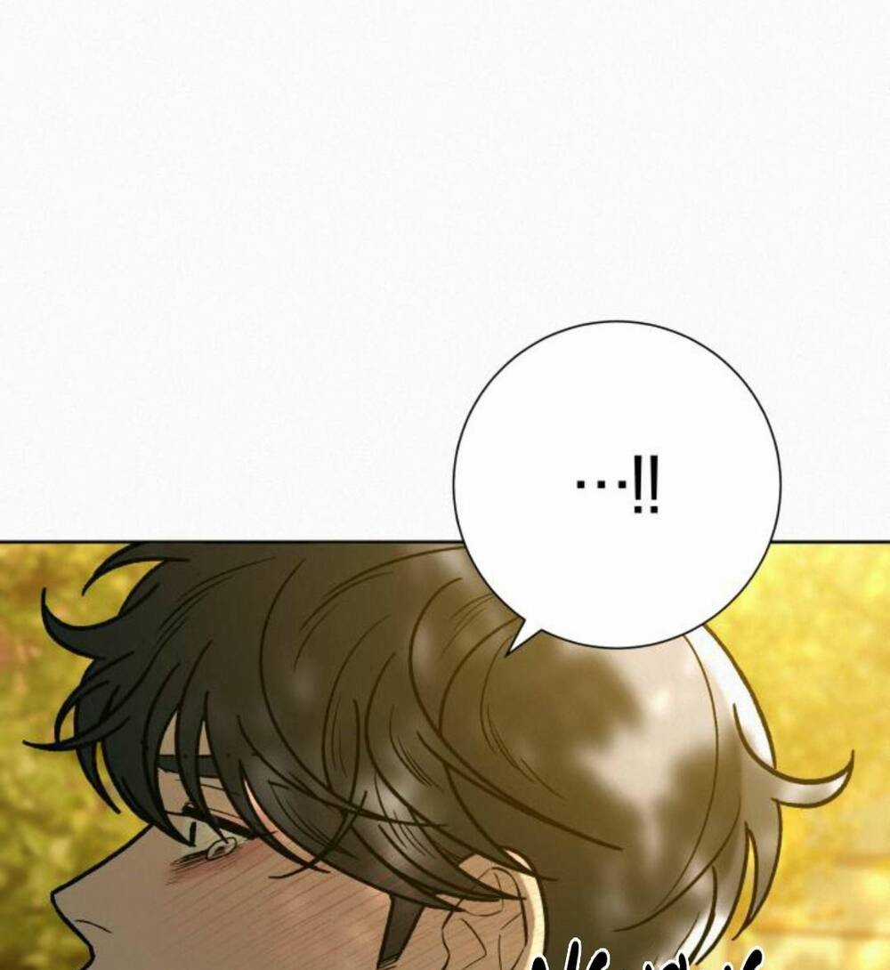 Kế Hoạch Tình Yêu Trong Sáng Chapter 82 trang 12