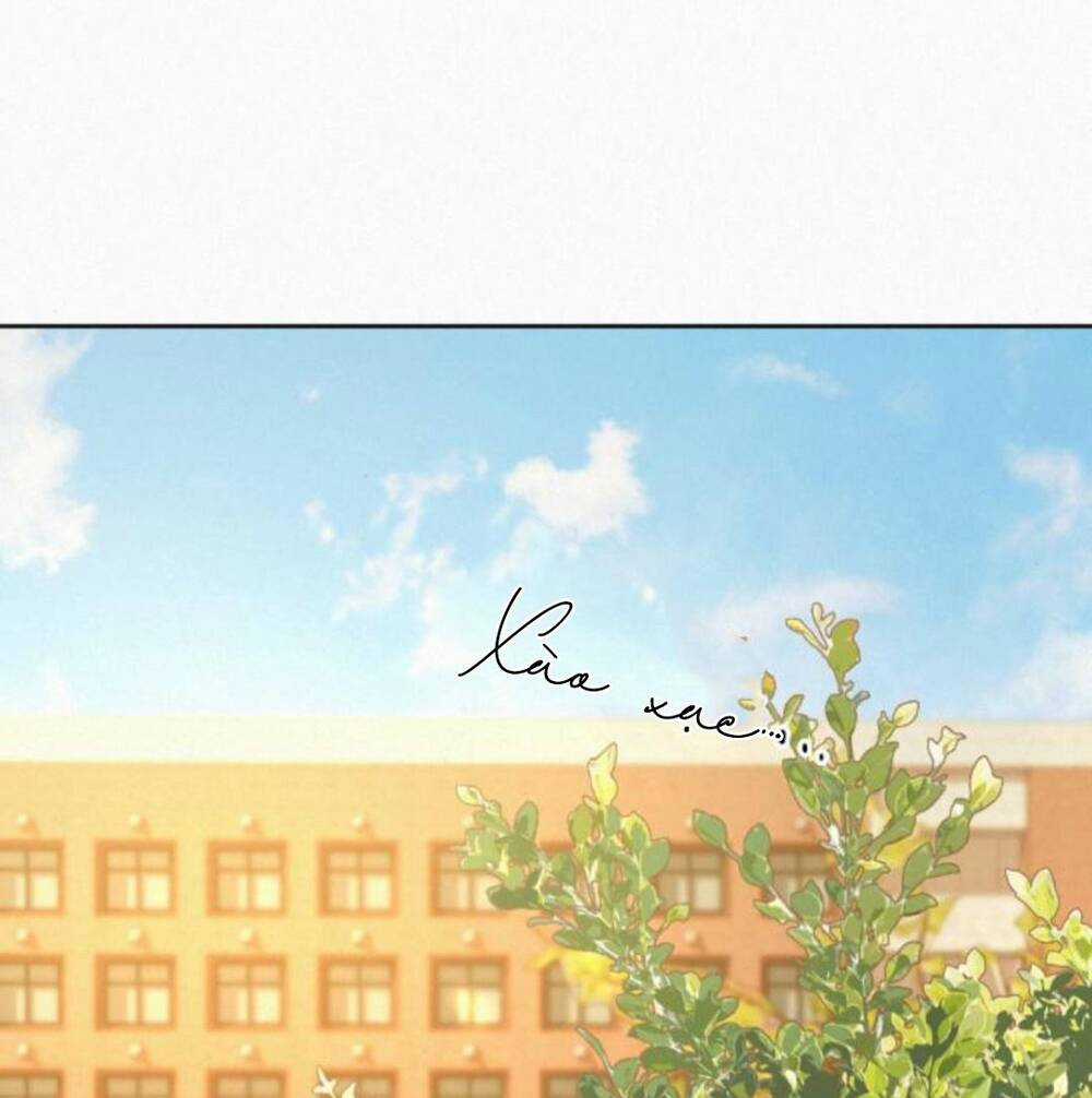 Kế Hoạch Tình Yêu Trong Sáng Chapter 82 trang 67