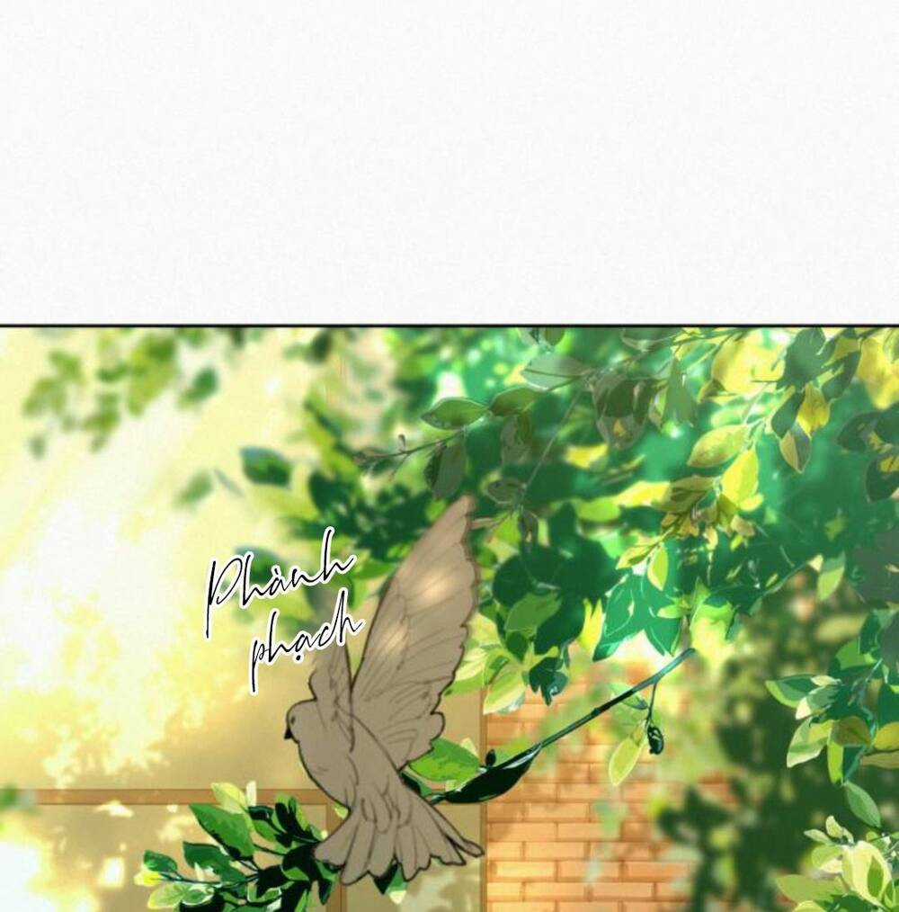 Kế Hoạch Tình Yêu Trong Sáng Chapter 82 trang 69