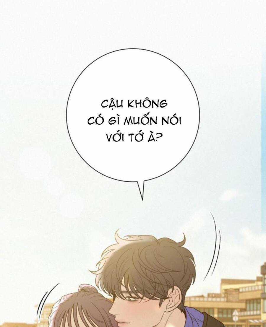 Kế Hoạch Tình Yêu Trong Sáng Chapter 86 trang 13