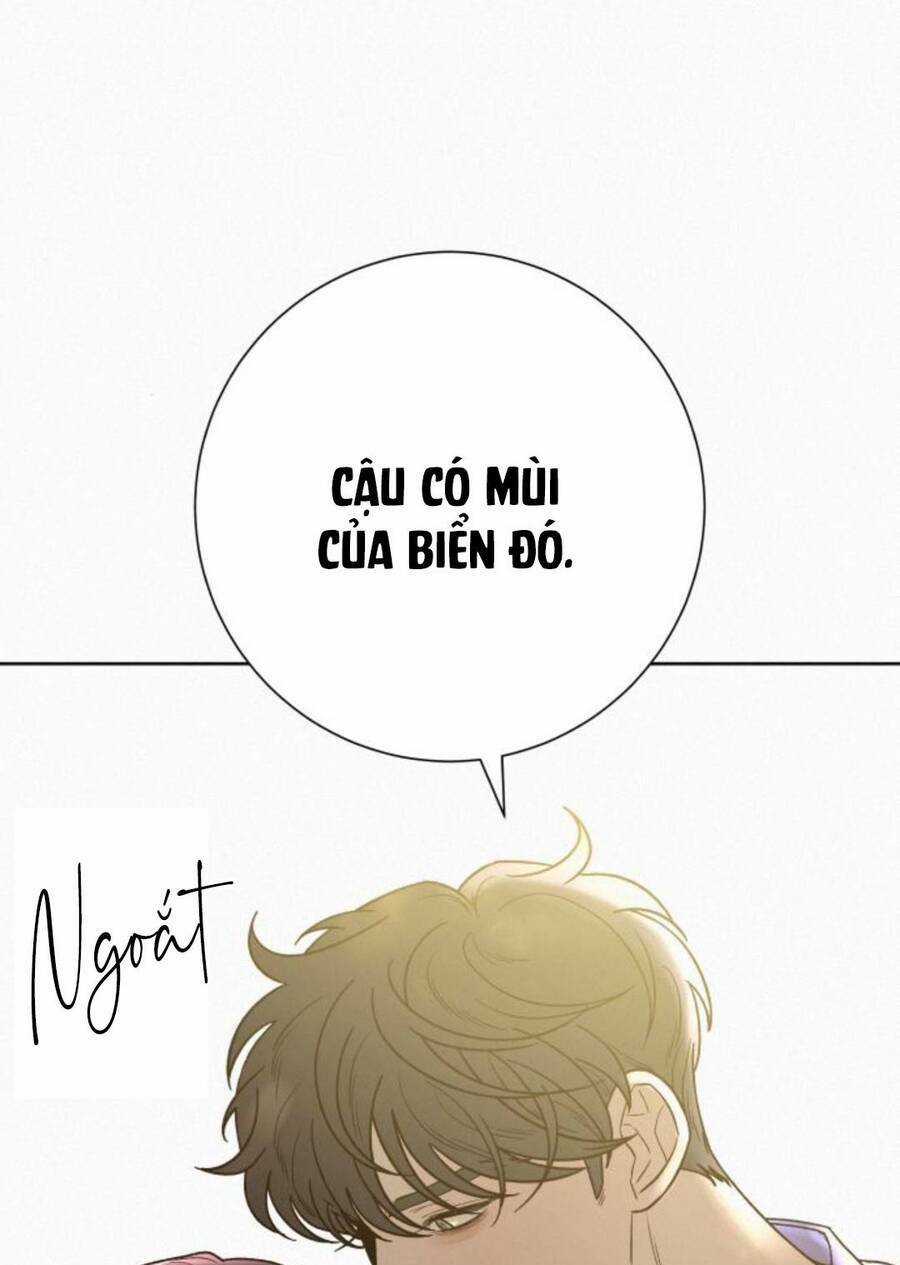 Kế Hoạch Tình Yêu Trong Sáng Chapter 86 trang 18