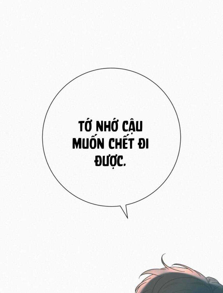 Kế Hoạch Tình Yêu Trong Sáng Chapter 86 trang 5