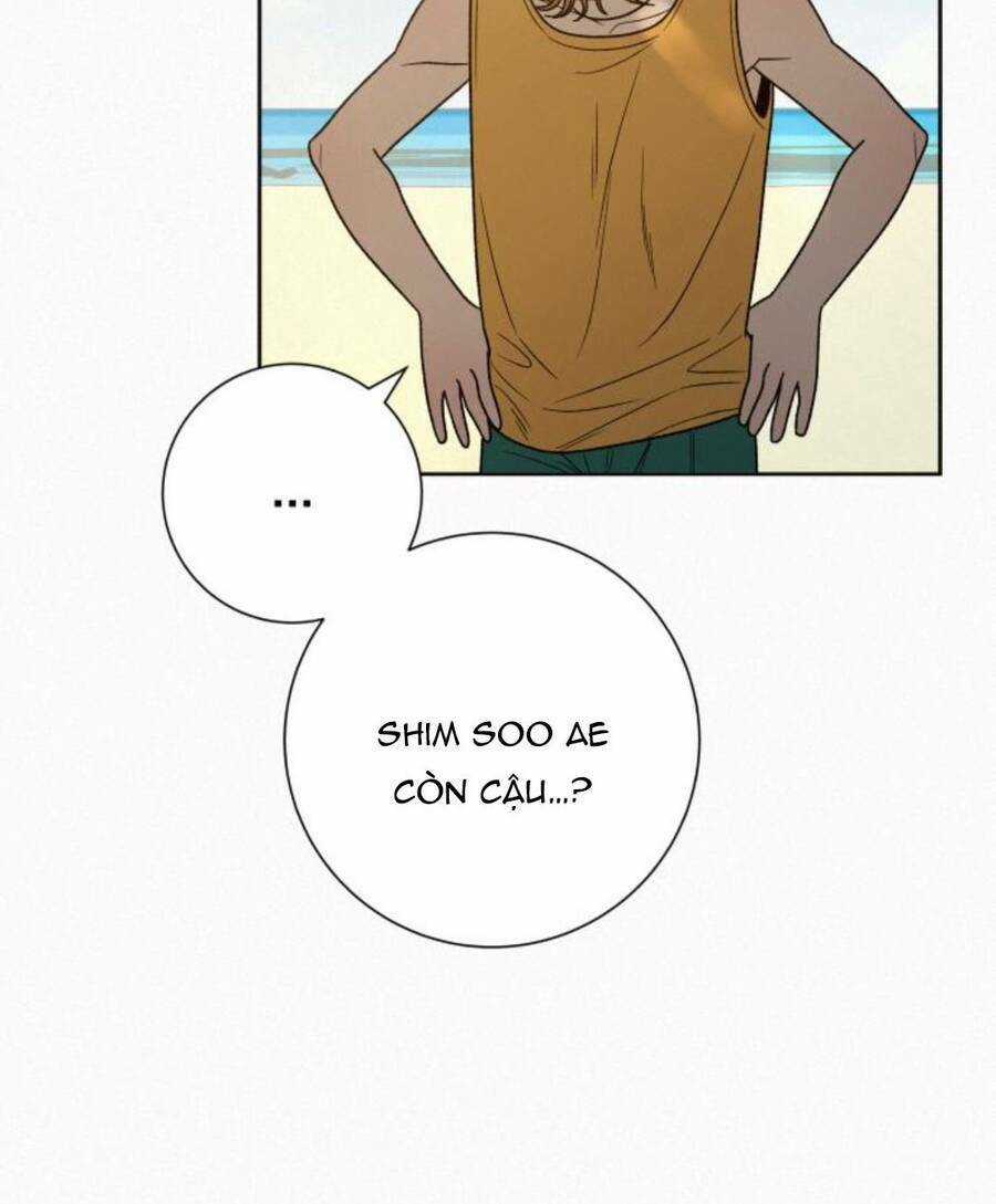 Kế Hoạch Tình Yêu Trong Sáng Chapter 86 trang 77