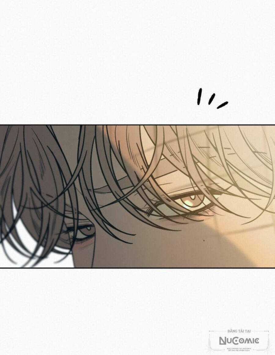 Kế Hoạch Tình Yêu Trong Sáng Chapter 87 trang 12