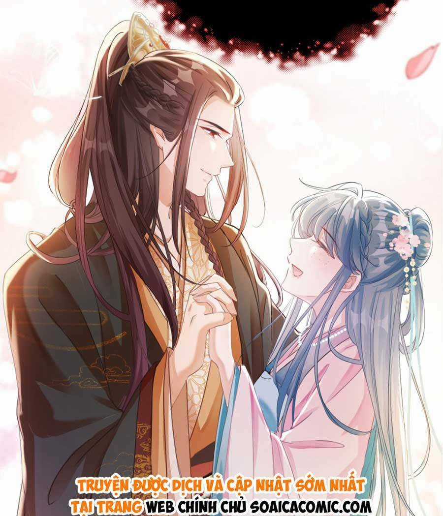 Kế Hoạch Trả Thù Của Đích Nữ Trọng Sinh Chapter 1 trang 11