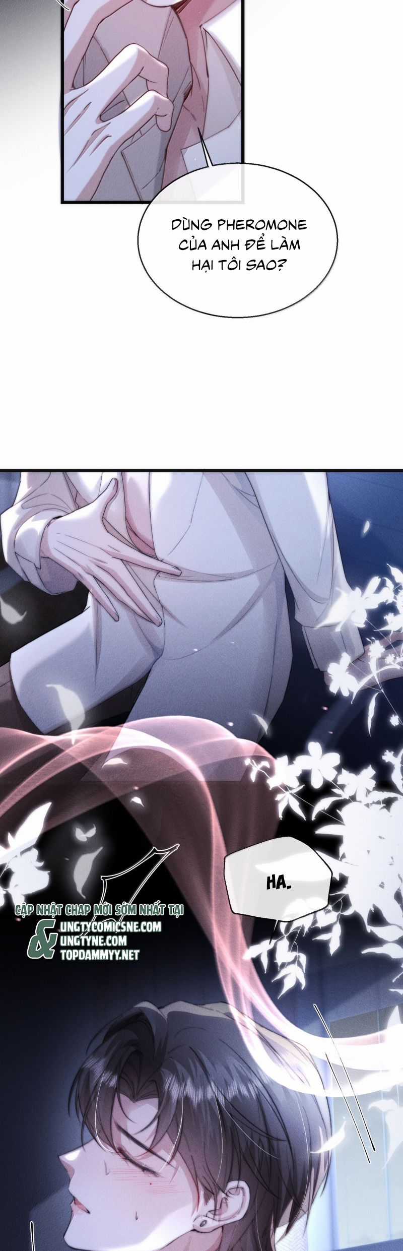 Kế Hoạch Tự Dưỡng Cuồng Khuyển Chapter 61 trang 7