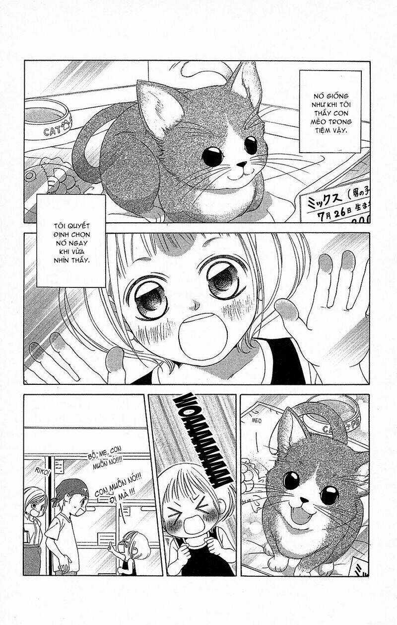 Kẻ Nói Dối Và Người Tình Chapter 6 trang 4