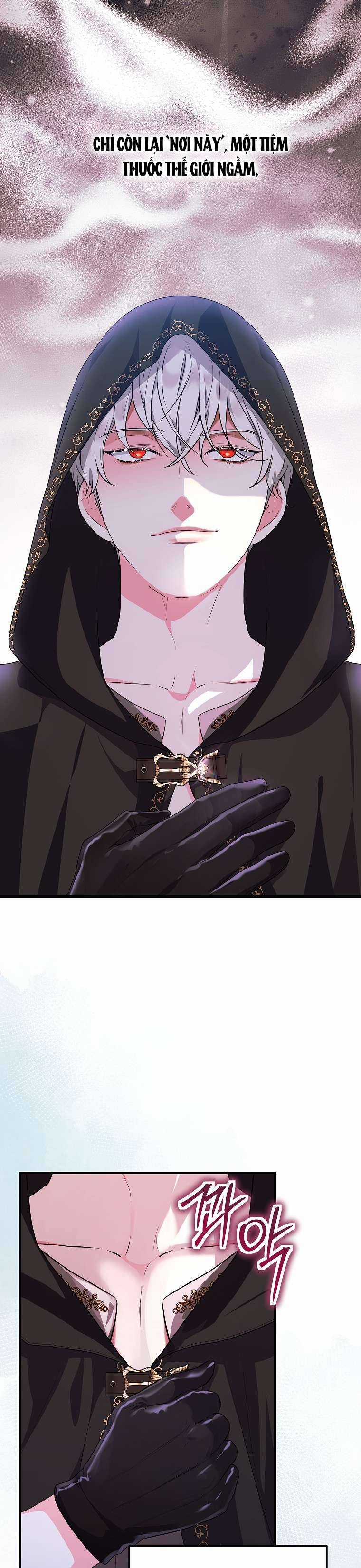 Kẻ Phản Diện Có Thời Hạn Ủng Hộ Tôi Hủy Hôn Chapter 18 trang 21