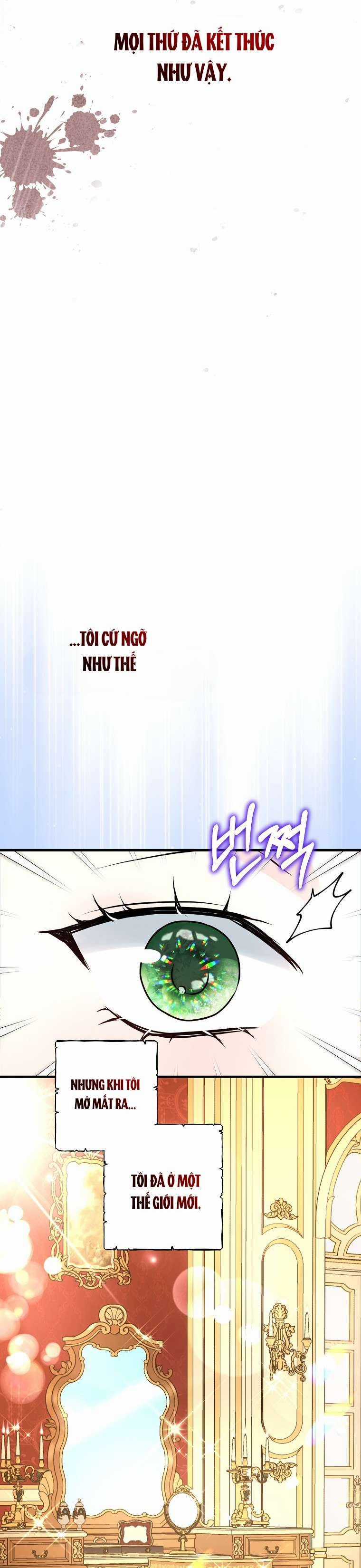 Kẻ Phản Diện Có Thời Hạn Ủng Hộ Tôi Hủy Hôn Chapter 2 trang 13