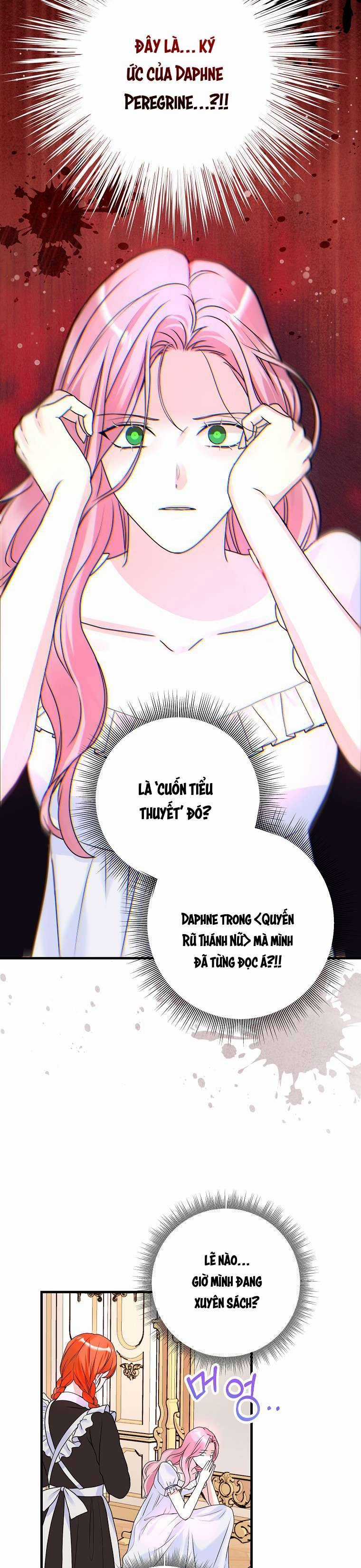 Kẻ Phản Diện Có Thời Hạn Ủng Hộ Tôi Hủy Hôn Chapter 2 trang 25