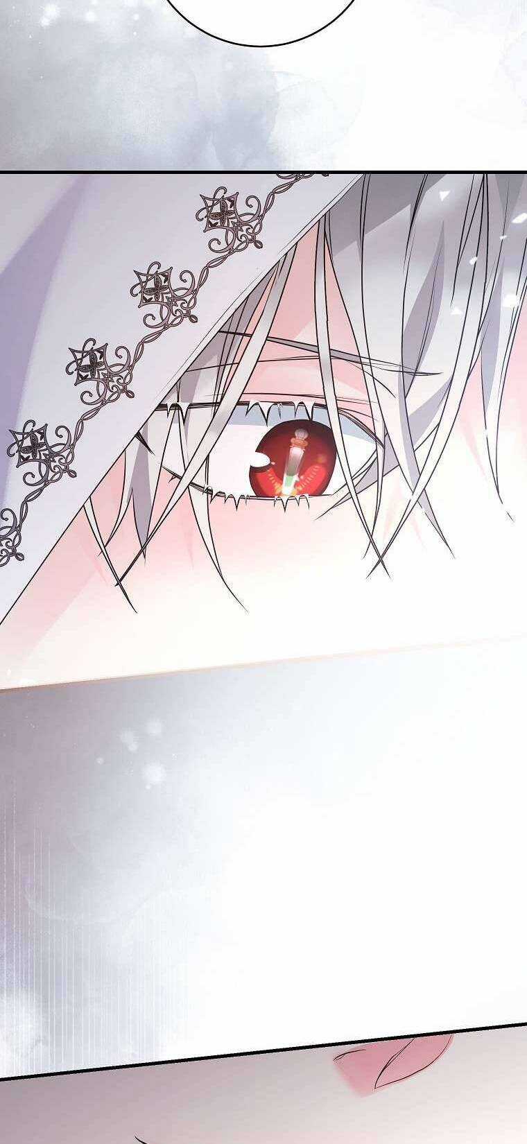 Kẻ Phản Diện Có Thời Hạn Ủng Hộ Tôi Hủy Hôn Chapter 33 trang 64