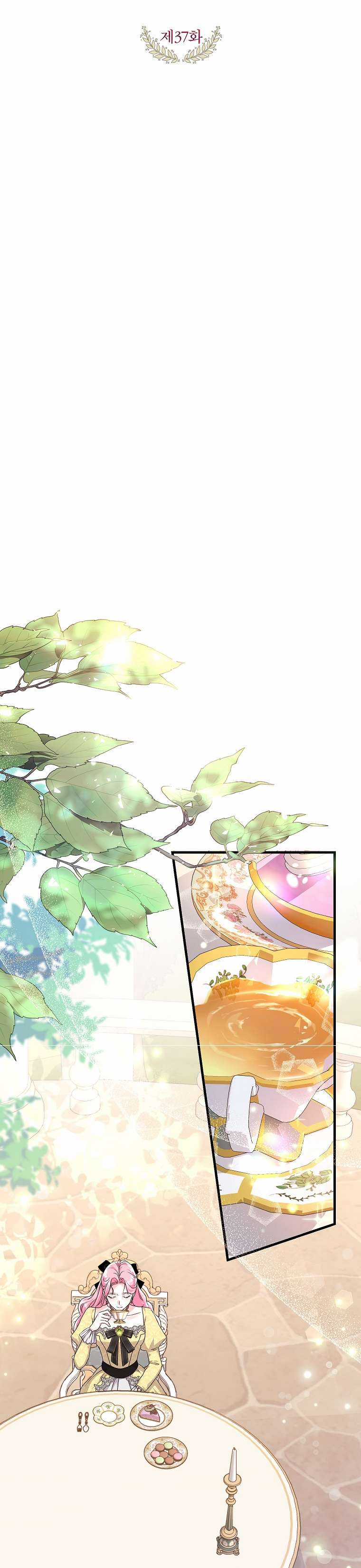 Kẻ Phản Diện Có Thời Hạn Ủng Hộ Tôi Hủy Hôn Chapter 37 trang 14