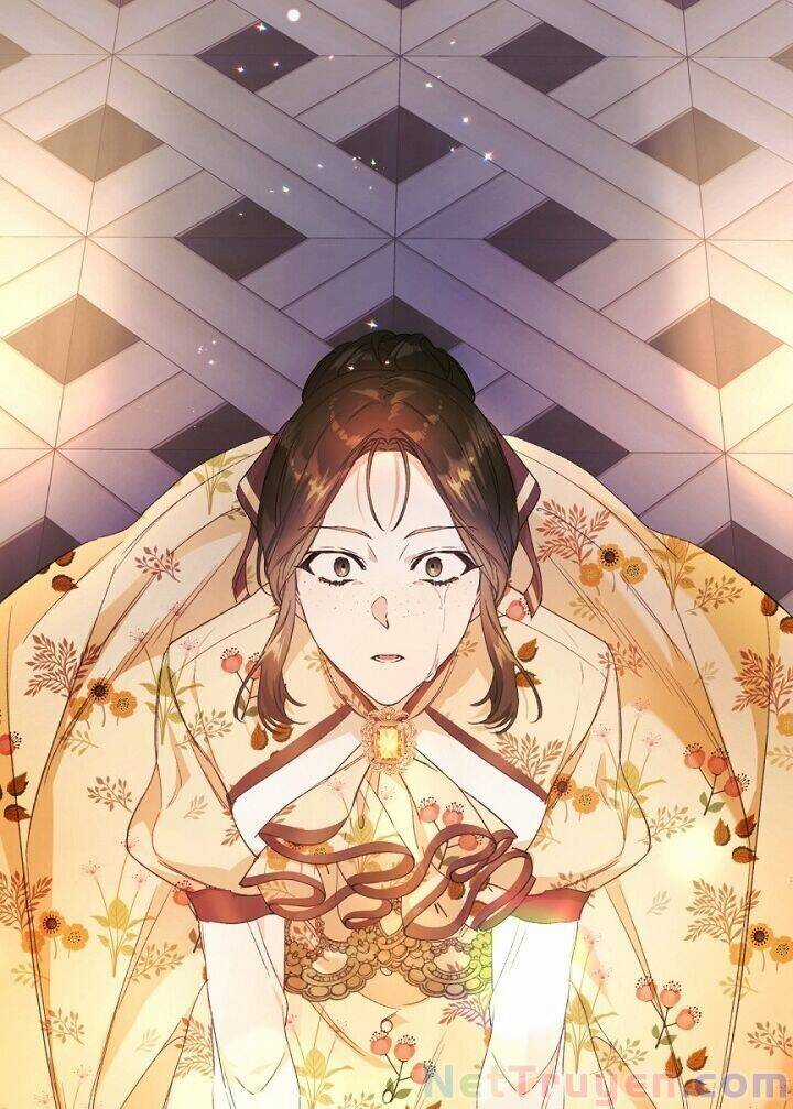 Kẻ Phản Diện Là Một Con Rối Chương 15 trang 17