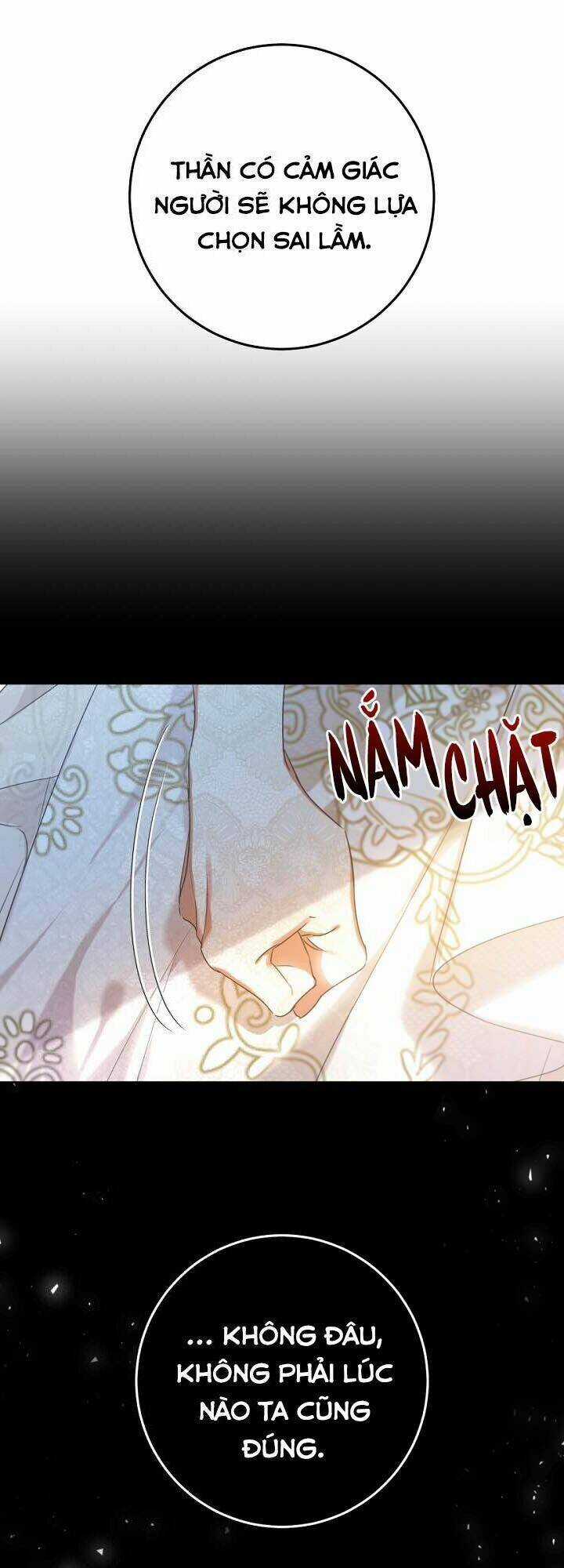 Kẻ Phản Diện Là Một Con Rối Chương 25 trang 12