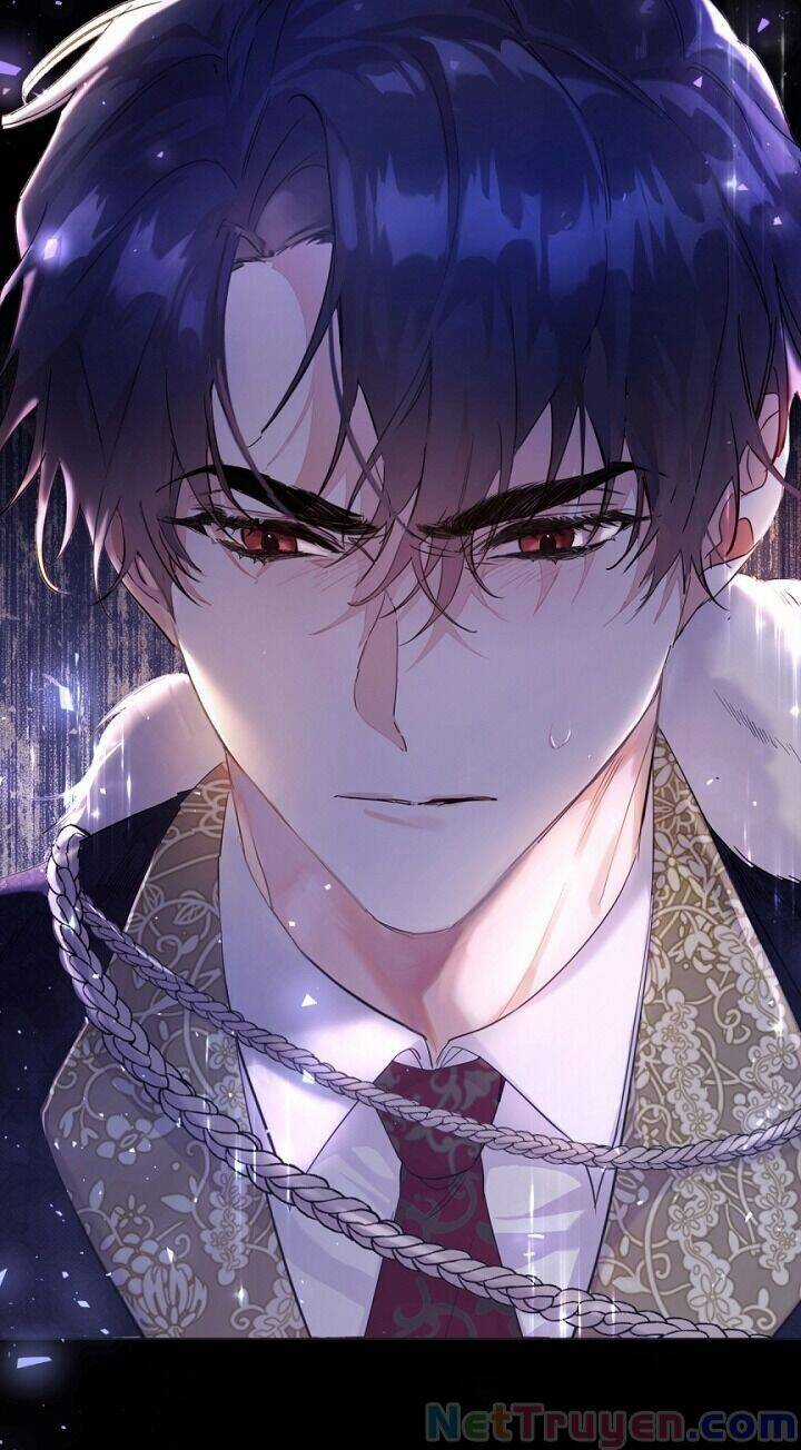 Kẻ Phản Diện Là Một Con Rối Chương 5 trang 13