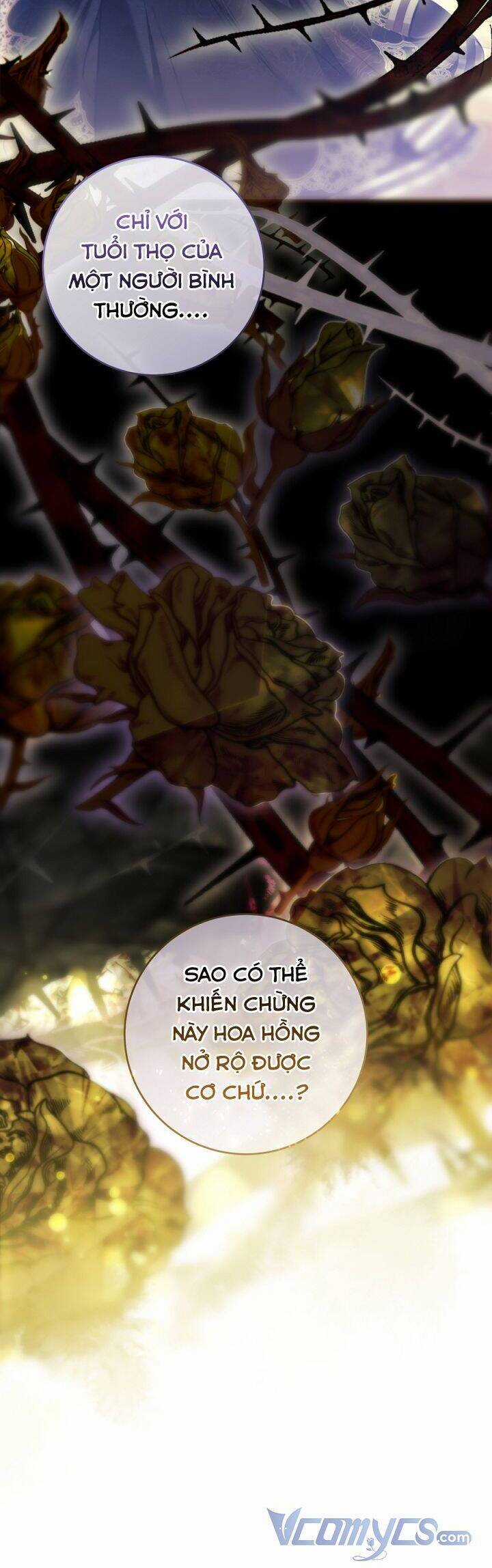 Kẻ Phản Diện Là Một Con Rối Chương 70 trang 36