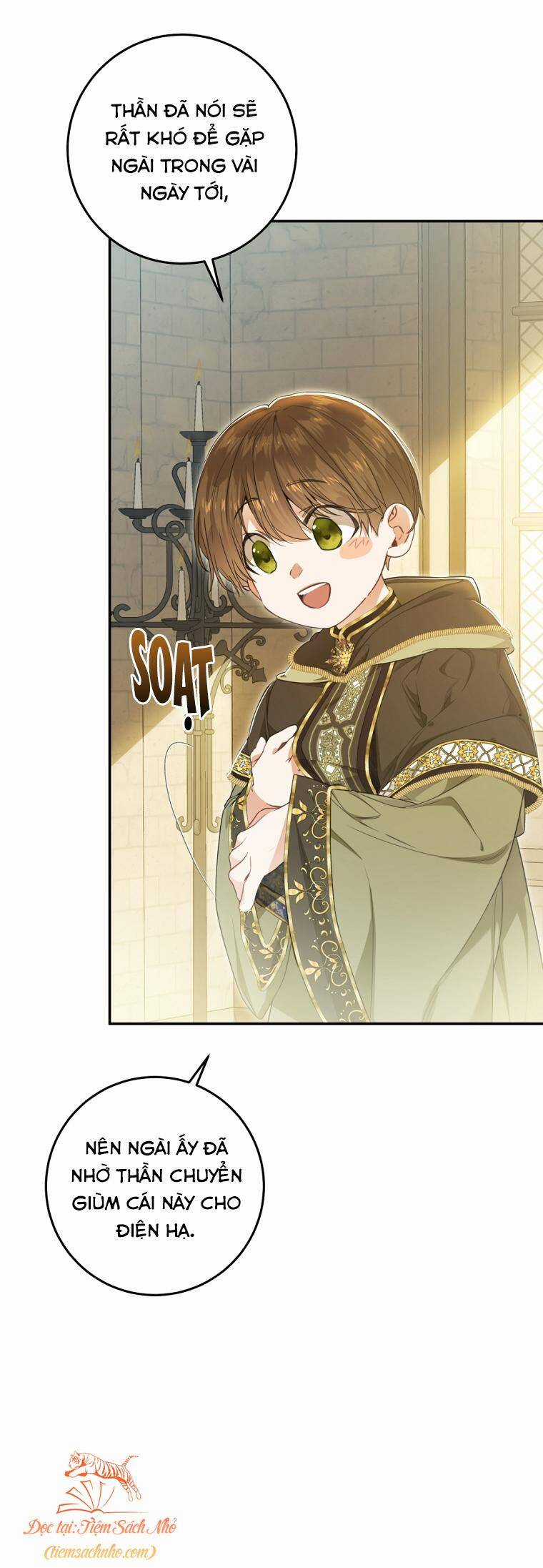 Kẻ Phản Diện Là Một Con Rối Chương 74 trang 13